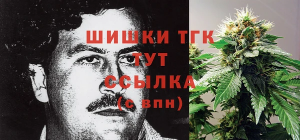 мяу мяу мука Аркадак