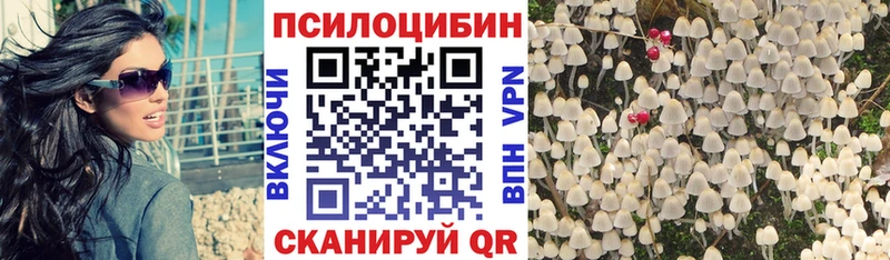 Псилоцибиновые грибы Magic Shrooms  купить  цена  Юрьевец 