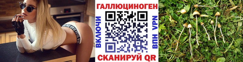 Галлюциногенные грибы мицелий Юрьевец